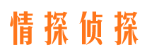 头屯河市侦探公司